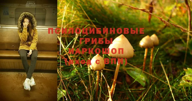 Псилоцибиновые грибы Magic Shrooms Вяземский